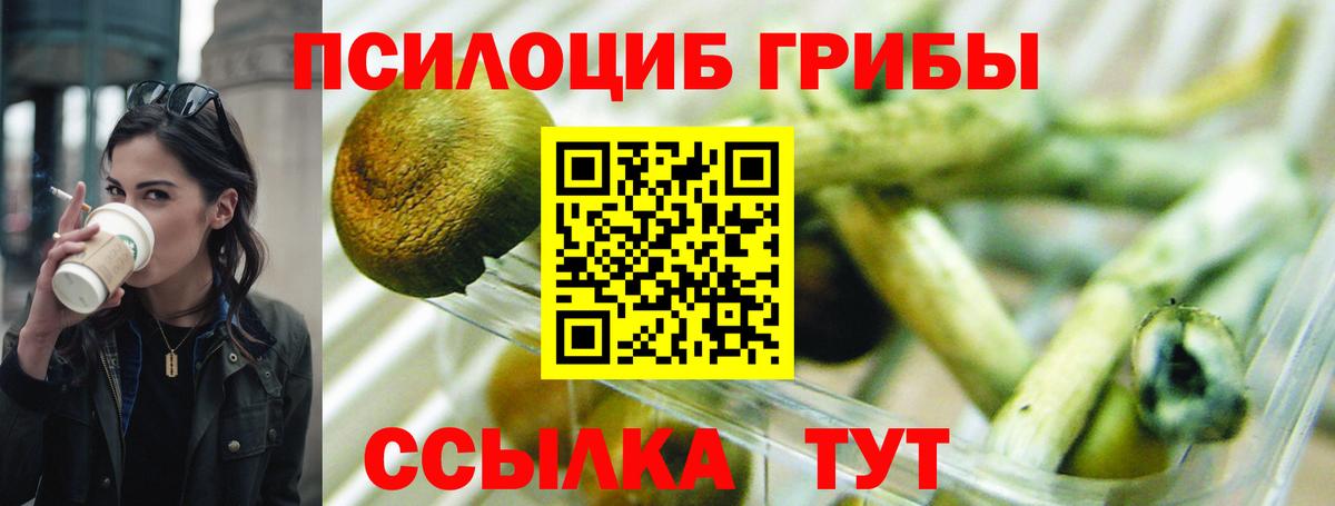 Галлюциногенные грибы GOLDEN TEACHER  Вход с VPN  Сибай  Псилоцибиновые грибы ЛСД 